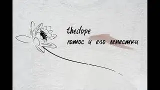 TheDope   Лотос и его лепестки