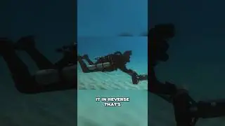 Yeaaaaa don&rsquo;t do that. #divexblacktip #techdiving #rebreather #kisssidewinder #scubadiving #divevibe
