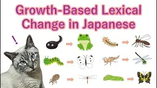 Words That Change as Things Grow in Japanese ~ Learn Japanese with Toby ~