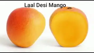 Top 10 Best Mango Varieties In Pakistan
