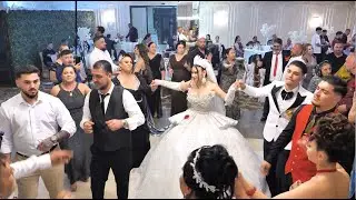 Narcis DLB – Hai Producătorii 🔥 | Nuntă Leo & Isabela 💍 Live 2025