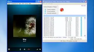 How to record a Skype call in the easiest way