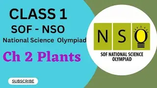 Класс 1/SOF-NSO/Ch2 Растения #класс1nso #класс1sof #класс1olympiad #класс1cbse #класс1science