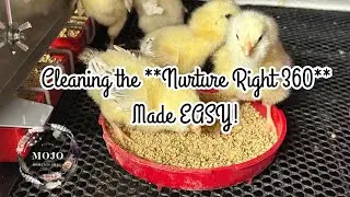 EASY METHOD for cleaning the **NURTURE RIGHT 360**