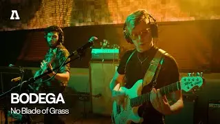 BODEGA - No Blade of Grass | Audiotree Live