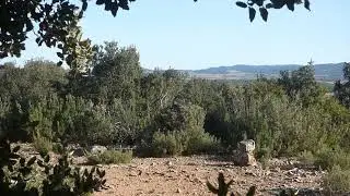 Enseño lo que sé, porque así me lo enseñaron. 4-II-2025.