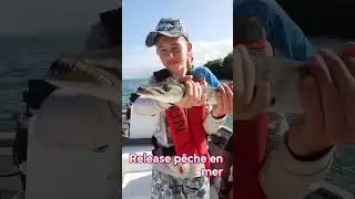 p&ecirc;che en mer #p&ecirc;che #ocean #fishing #fish #poisson #poissons #life #sensuality #action #emotional
