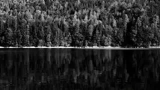 Monochrome Mindset 🌊 Instrumental Focus Music for Productivity & Success 4K