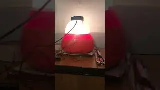 Incubatrice - tacchini e anatre
