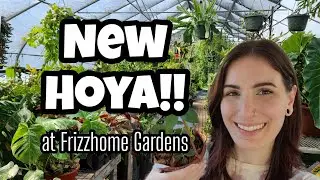 HOLY FREAKIN HOYA!! 😍 Plant Shopping at Frizzhome Gardens in Bedford, NH 
