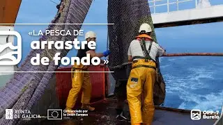 OPP7: la Pesca de Arrastre de Fondo