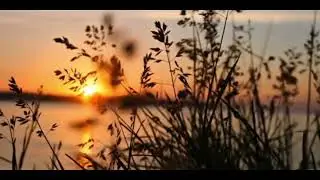 Free Download | Nature Stock Footage | Sunset