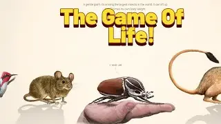This Game Shows the Real Size of Life