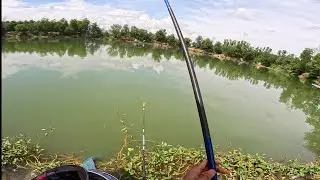 Fishing | Câu Đài | Quay Lại Hồ Tràm, Ngày Gồng Mới Ra Cá | Nghiện Câu TV