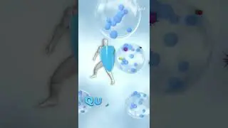 Understanding Your Immune System