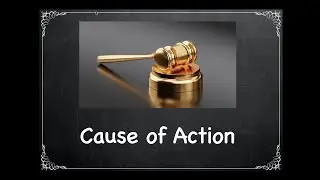 What's a Cause of Action? - Legalese Translator Ep. 2