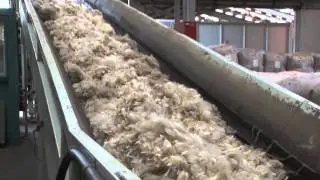 From Farm to Supply - Wool Technologies