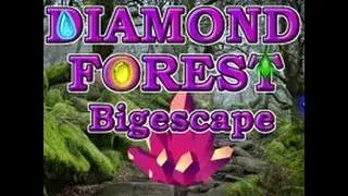 Diamond Forest Bigescape video walkthrough