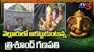 Trishund Ganapathi Model Arranged At Nellore | Lambodhara Ganesh || TV5 News