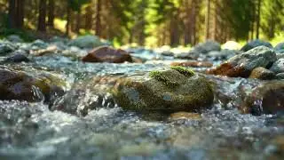 HispersRiver Natural Ambience for Meditation  River Water & Birds