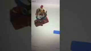 Find GiftMeEarlyAccess_3 🐔