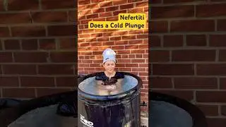Day 11 - 30 Day Cold Plunge Challenge. #nefertiti  #coldtherapy #funny #cryoskin #resilience #joy
