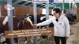 Проект 