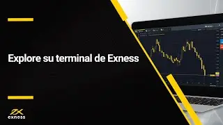 Explora tu terminal de Exness | Exness Latam