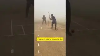Playing Cricket in Winter fog #comedy #funny #trending #viral #ytshorts #cricket #winter #fog #match