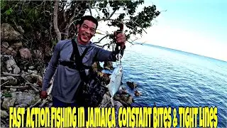 Fast Action Fishing in Jamaica  Constant Bites & Tight Lines