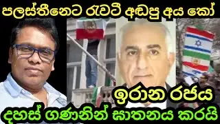 ඉරාන ත්&zwj;රස්තවාදී ආගමික රජය ජනතාවට වෙඩි තියයි පලස්තීනෙ හරි කිවු අය දැන් කෝ