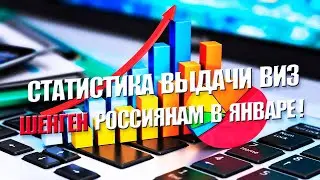 Какие шенгенские визы ставят в 2026 году?
