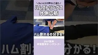 似てるようで違う&hellip;。ハムストリングと外側広筋の指圧箇所。#整体  #shorts