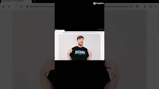 mr beast i`m gonna pop some tags, tag Mr. beast