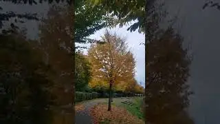 Herbst Saison, Neunhaus