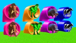 Choose The Right Mystery Pipe With Mammoth Elephant Cow Hippo Gorilla Dinosaur Wild Animal Games