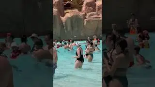 ☀️Wonderful Summer Holiday Water Park Swimming Pool Hot Day 26🐬 #waterpark #swimmingpool