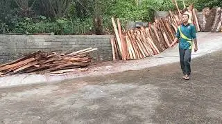Menjemur kayu basah untuk bakar di perapian