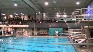 William Guedes - Diving at Notre Dame