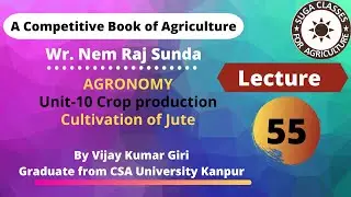 Lecture 55 Cultivation of jute jute  #agronomy #cultivation #bscagriculture
