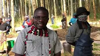 Satemwa estate Corona times