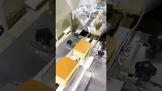 Food grade conveying feeding cake bag packing line
