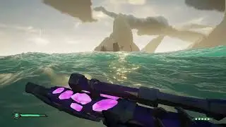Chill Sot bug