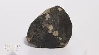 Amo 390.7g Witnessed Fall Stone Meteorite