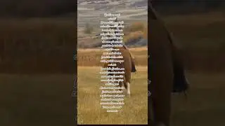E soprattutto metter&ograve; sempre  al primo posto il loro benessere fisopscologico e dopo il mio❤️&zwj;🔥