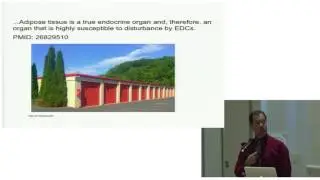 AHS16 - Tim Gerstmar - Obesogens and Endocrine