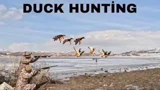 SHOTKAM &Ouml;RDEK AVI!!! (DONMUŞ BARAJDA LİMİTLER DOLDU) M&Uuml;KEMMEL &Ccedil;EKİMLER DUCK HUNTİNG охота на уток