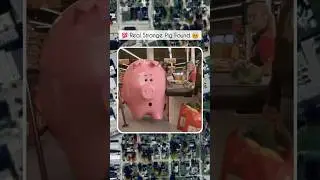 💯 Real Strange Pig Found 😵&zwj;💫 On Google Earth