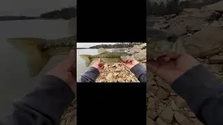 Trying Out The CAST NOVA 4.5 Fishing Lake Lanier