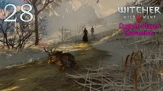 Ведьмак без ведьмака (за чародейку) / The Witcher 3. Custom Player Characters [№ 28]